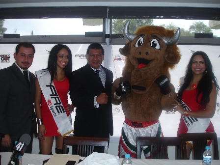 Artes Marciales Mixtas