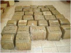 PF asegura 334 kilos de marihuana abandonados, en Guerrero