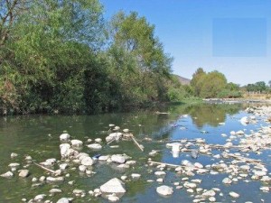 LA CIUDAD DE OAXACA DEL COLAPSO HACIA LA CATÁSTROFE AMBIENTAL; ANUNCIAN LA CELEBRACIÓN DEL FESTIVAL DEL RIO ATOYAC -Video-