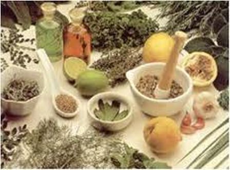 Presentan trabajo realizado a favor del rescate de medicina tradicional y herbolaria