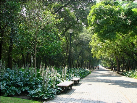 Inicia Décimo Festival del Bosque de Chapultepec, en el Distrito Federal