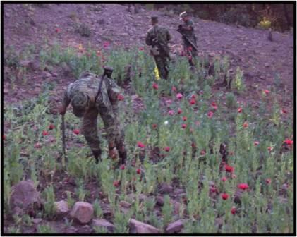 Localizó y destruyó personal militar plantíos de amapola en Taxco de Alarcón, Guerrero