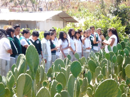 Cumple 23 años Museo Ecológico Nocheztlicalli en Oaxaca; preserva la grana cochinilla