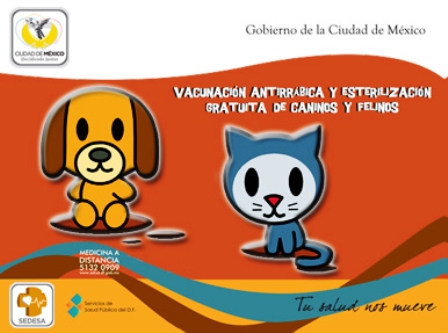 Prevén esterilizar a un millón 500 mil perros y gatos en la ciudad de México