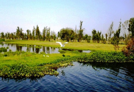 Exhortan a ciudadanos del DF a conservar y proteger espacios de gran valor ambiental