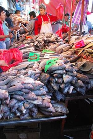 Realizan 298 verificaciones a expendios de productos de mar por temporada de Cuaresma