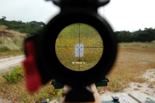 Estamos a tiempo aún