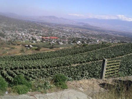 Impulsará Sectur DF potencial ecológico, cultura y gastronomía de Milpa Alta