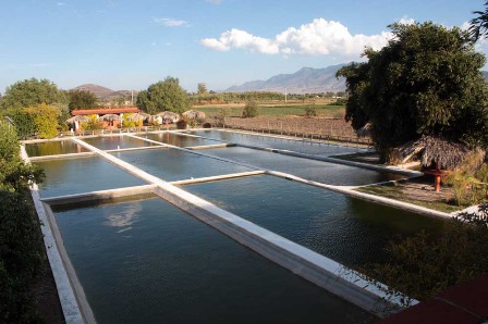 Entregan reconocimientos por “buenas prácticas” a unidades acuícolas de Oaxaca