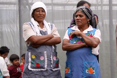 Tendrán acceso gratuito a servicios de salud pública, comunidades indígenas y migrantes radicados en el DF