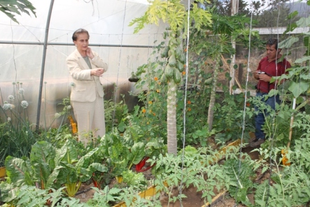 Exhortan a compartir experiencias a organizaciones oaxaqueñas en la Cruzada Nacional contra el Hambre