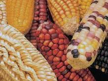 CONSTRUYENDO LA AGENDA POLITICA DEL MOVIMIENTO SOCIAL OAXAQUEÑO