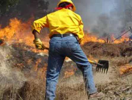 Conmemoran Día Internacional del Combatiente de Incendios Forestales