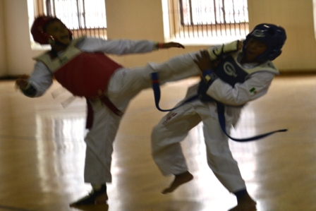 Olimpiada Nacional 2013