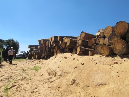 Operativo en Milpa Alta, respuesta de que hay autoridad en la Ciudad de México: Mancera Espinosa