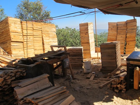 Realizan segundo operativo de desmantelamiento y aseguramiento de aserraderos clandestinos en Milpa Alta