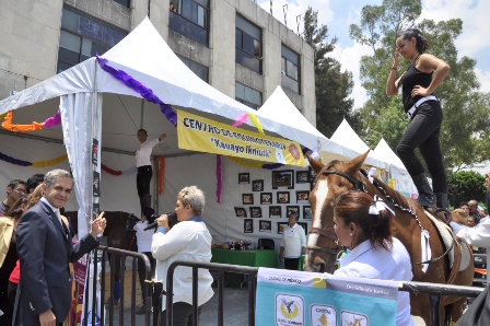 Inician jornadas “Conociendo y reconociendo la discapacidad” en la Ciudad de México