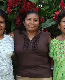 Impiden perredista​s traslado de actas de comicios de San Juan Cacahuatep​ec a la capital de Oaxaca