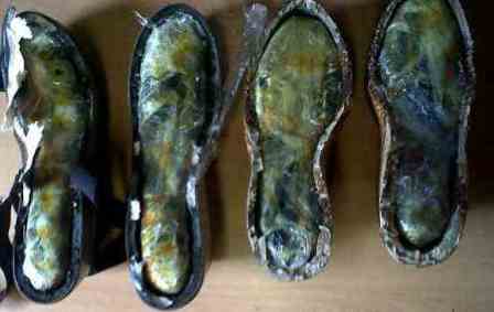 Localiza Policía Federal cuatro paquetes de heroína transportados en las suelas de zapatos