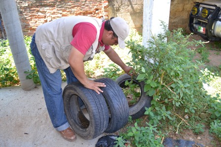 Registran 315 casos de dengue en el Istmo de Oaxaca; Refuerzan acciones contra el dengue en municipios afectados