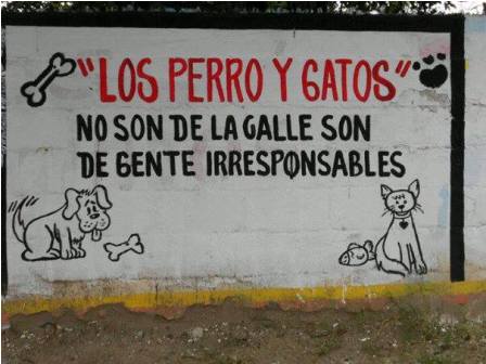 Invitan a la caminata proanimal para promover la esterilización y adopción de mascotas, en Etla, Oaxaca