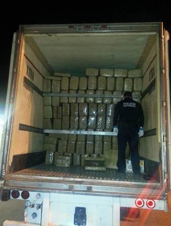 Asegura Policía Federal 20 toneladas de marihuana y 30 kilos de droga sintética en Sonora