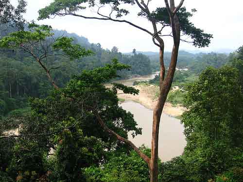 Preocupa a defensores de Chimalapas publicación de mapa que reconoce superficie en disputa a gobierno de Chiapas