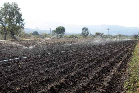 Tecnifican 30 hectáreas de riego en Guadalupe, Etla, Oaxaca; producirán alfalfa, frijol y maíz