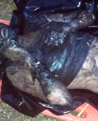 Siguen feminicidios en Oaxaca ahora masacran niña de 16 años