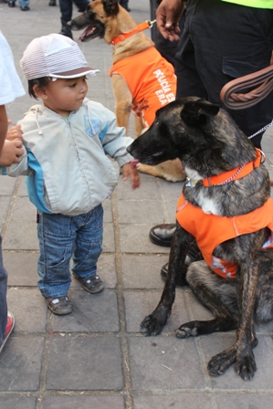 Promueve Secretaría de Seguridad Pública “Mi amigo el Oficial Canino” en Oaxaca