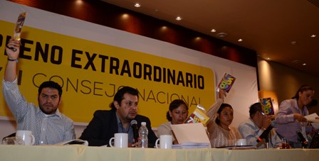 Acuerda PRD método de elección indirecta para renovar dirigencia nacional