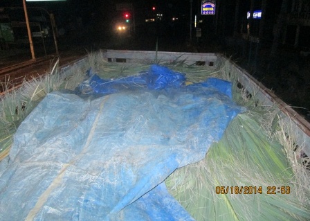 Asegura Policía Estatal a dos sujetos por presuntos delitos ambientales en Tututepec, Oaxaca