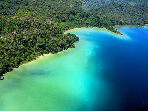 Nueva campaña privatizadora de la Selva Lacandona piden salida de Julia Carabias y Javier de la  Maza