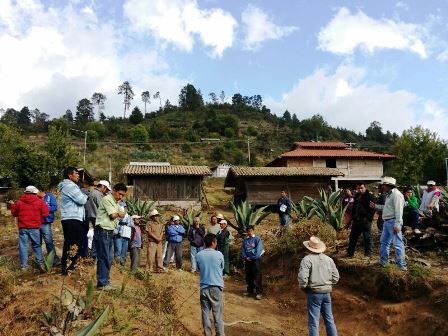 Reglas de operación de programas de gobierno deben modificarse para que el campo produzca
