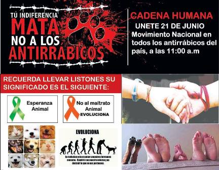 Convocan a la “Cadena humana” en rechazo a la captura-matanza de perros como “método” de control
