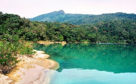 Selva Lacandona: por el respeto a los derechos de la naturaleza y el respeto a los derechos de los Pueblos Indígenas