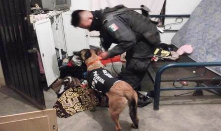 Ocho personas detenidas y tres vehículos asegurados en operativos de seguridad en Oaxaca