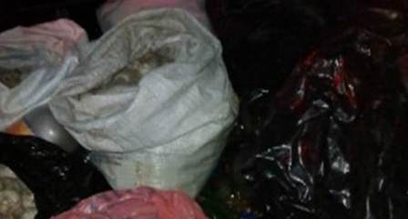 Aseguran más de mil huevos de tortuga en la Mixteca de Oaxaca; una persona detenida