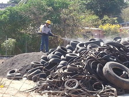 Intensifica el IMSS Oaxaca las medidas preventivas para prevenir casos de dengue