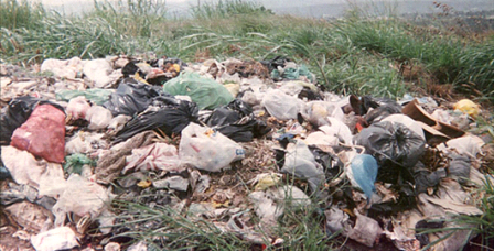 Genera México más de 42 mil toneladas de residuos tóxicos que afectan la salud humana