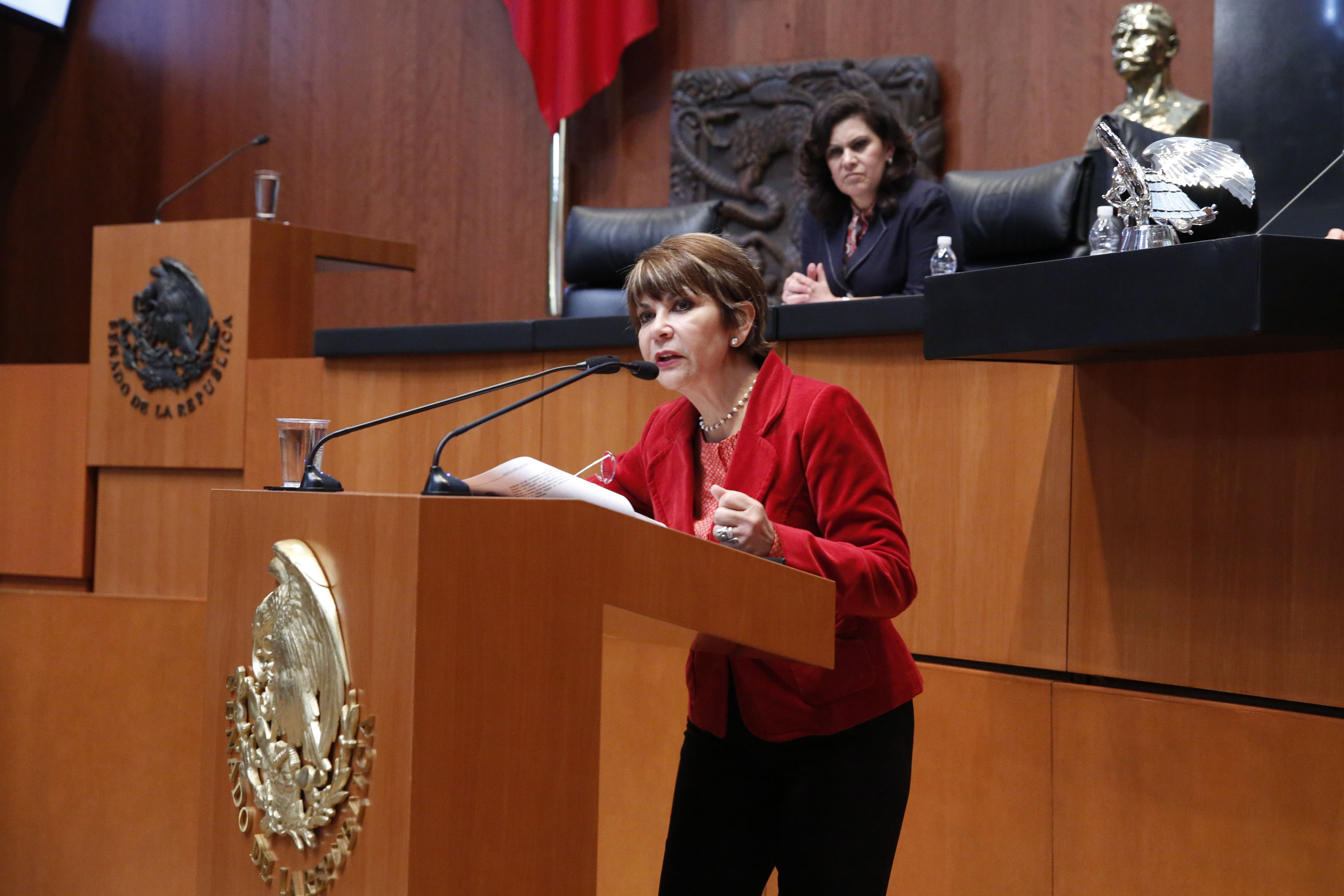 Indefensos niñas, niños y adolescentes migrantes mexicanos detenidos en EU: de la Peña Gómez