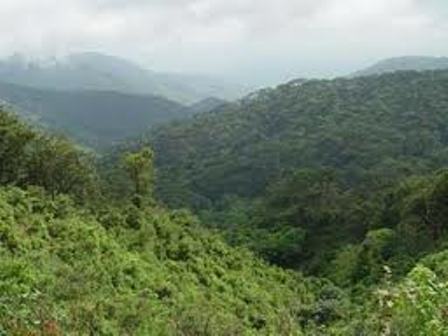 Acuerdan cambiar a autoridades comunales de Chimalapa por no defender intereses del pueblo