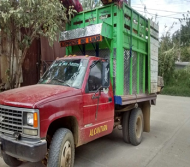 Recuperan cinco vehículos con reporte de robo en Oaxaca; cuatro detenidos