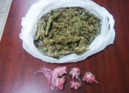 Operativos de seguridad