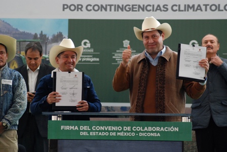 Ampara Diconsa precio objetivo del maíz en favor de los pequeños productores