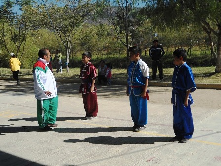 Participa equipo oaxaqueño de Wu-shu en campeonato nacional en Quintana Roo