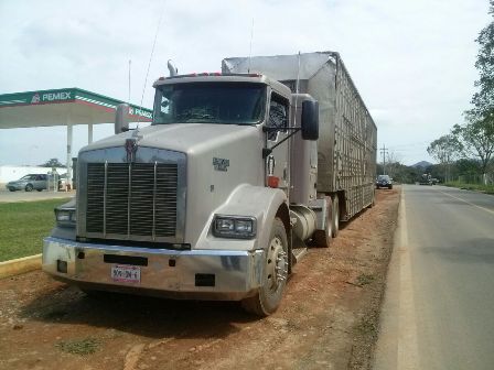 Llevaba ganado robado