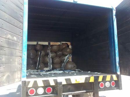 Iba oculta en el doble fondo de un vehículo