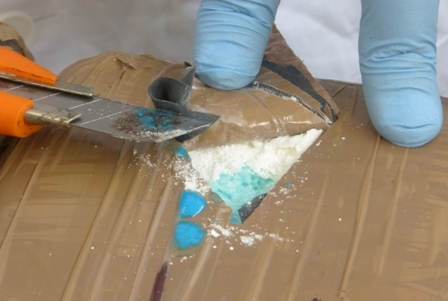 Asegura Policía Federal 24 kilogramos de aparente narcótico en Chiapas