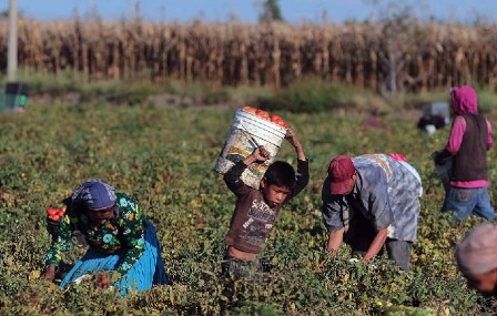 Acuerdan autoridades y jornaleros de BC revisión integral de sus condiciones de trabajo
